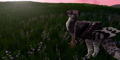 Quest Pro Eyes: Soar as Bird for VR Fuck Fantasies vr porn